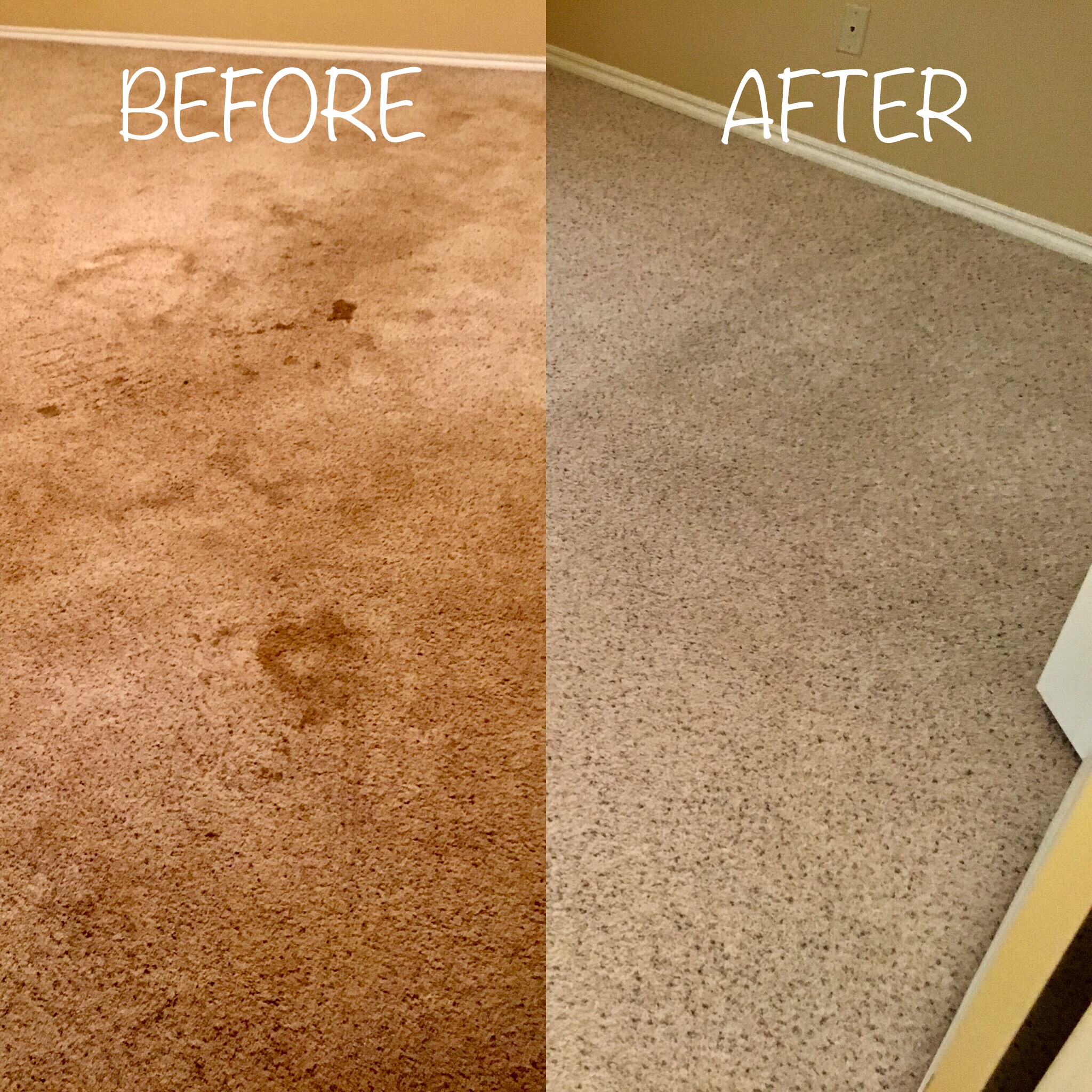 Beaumont Carpet Cleaning Service