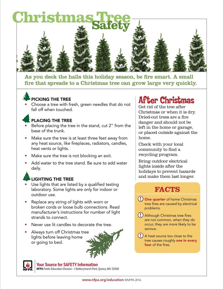 Christmas-Tree-Safety
