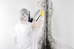 Black Mold Cleanup And Remediation - Restoration 1