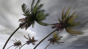 Protect Your Home, Business, And Family From Tropical Storm Dorian By Preparing Ahead Of Time.