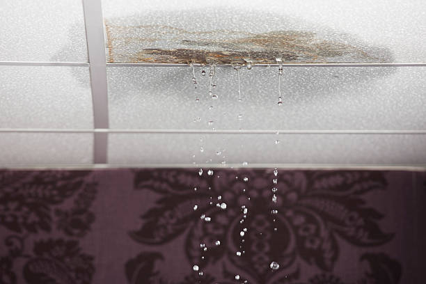 How Do Water Pipes Burst? Winter Maintenance Tips To Prevent Burst Pipes In Your Home