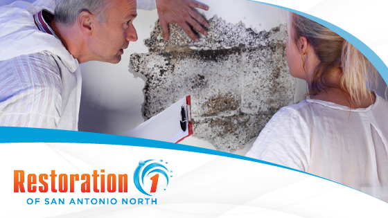 Signs That You May Need Mold Remediation In San Antonio North