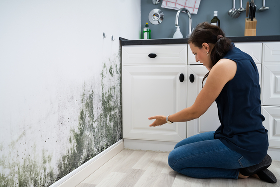 What To Do If You Find Mold On Your Walls