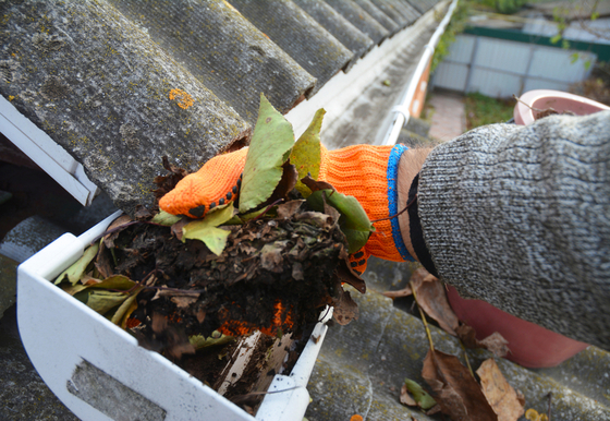 Clean Your Gutters And Downspouts