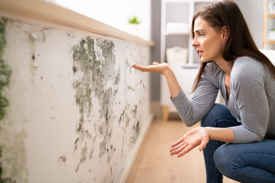 Prevent Mold On Walls And Ceilings